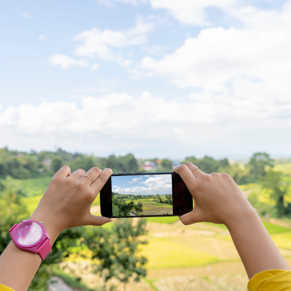 Phone being held up, being used to take a picture of nature.